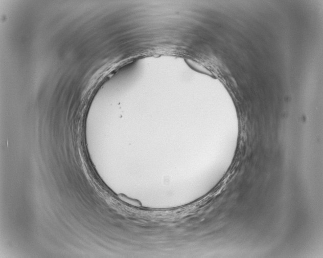 X0000057070001200510071445