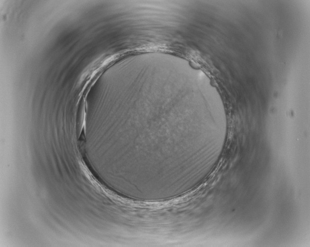 X0000057070002200510071444