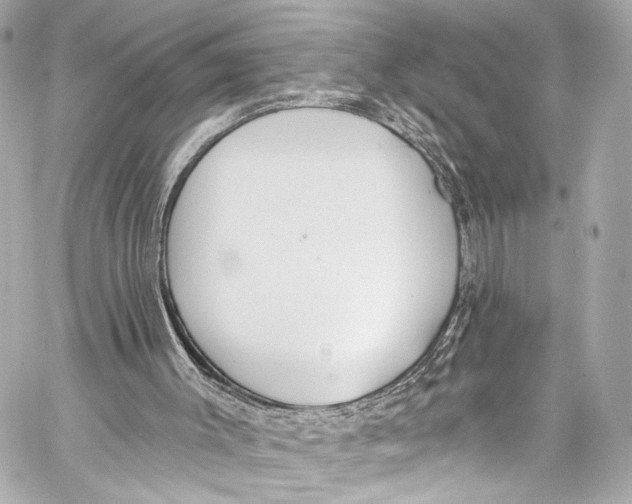 X0000057070003200510071444