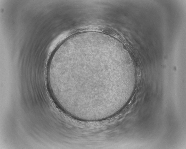 X0000057070006200510071444