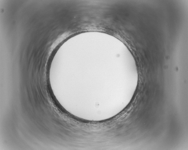 X0000057070008200510071444