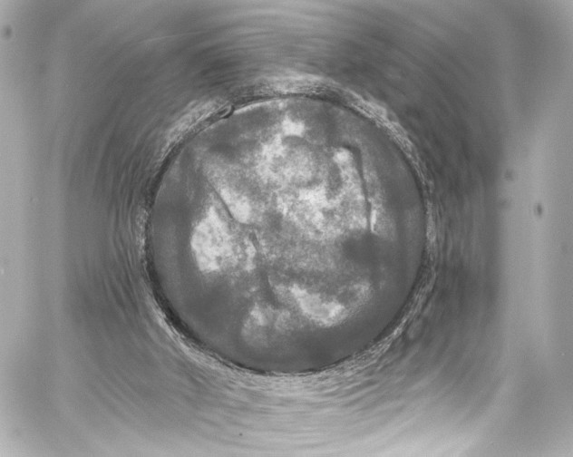 X0000057070010200510071444