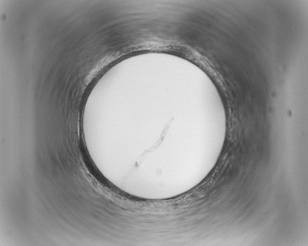 X0000057070011200510071444