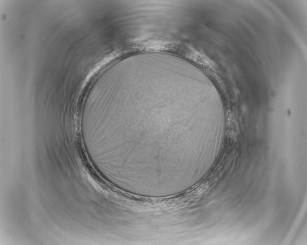 X0000057070012200510071444