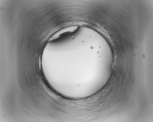 X0000057070013200510071444