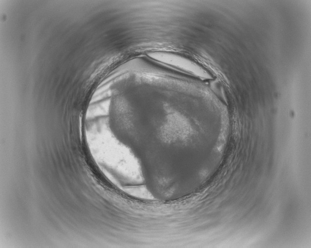 X0000057070014200510071444