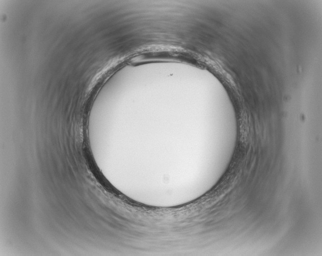 X0000057070015200510071444