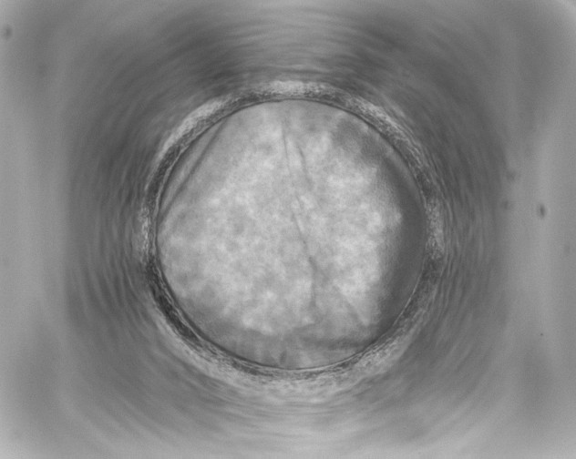 X0000057070016200510071444