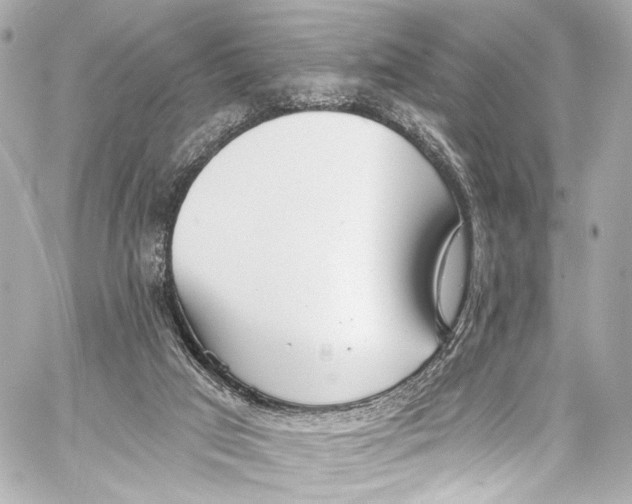 X0000057070017200510071444