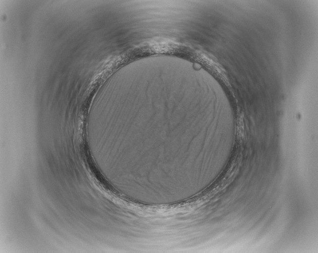 X0000057070018200510071444