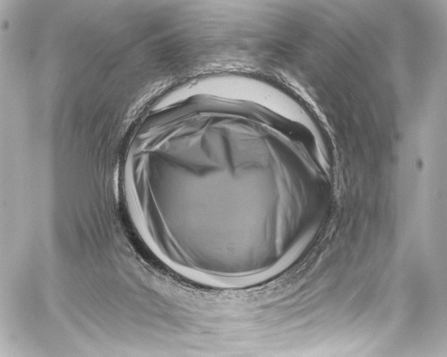 X0000057070019200510071444