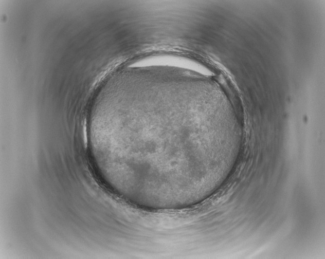 X0000057070020200510071444