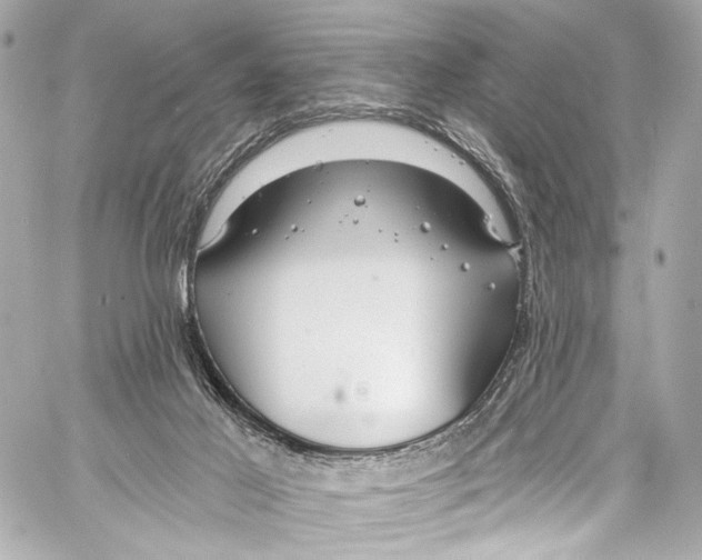 X0000057070021200510071444