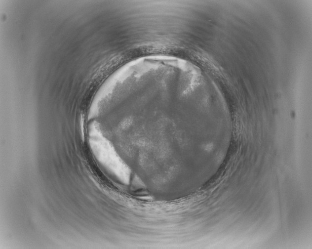 X0000057070022200510071444