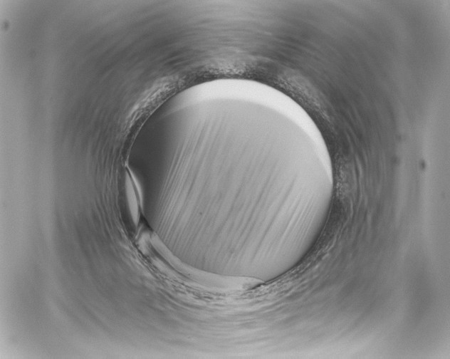 X0000057070023200510071444