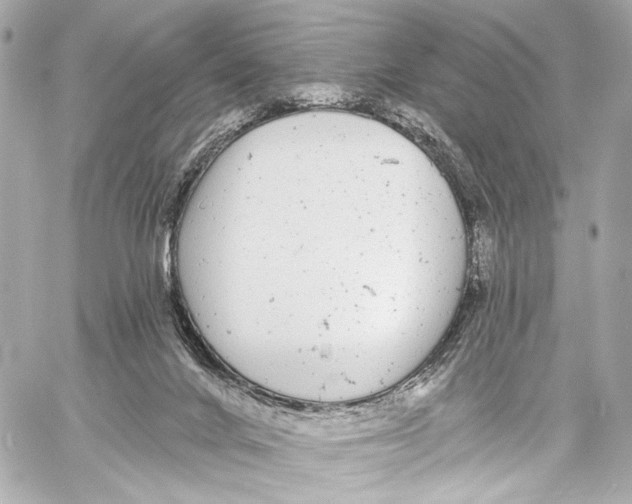 X0000057070024200510071444