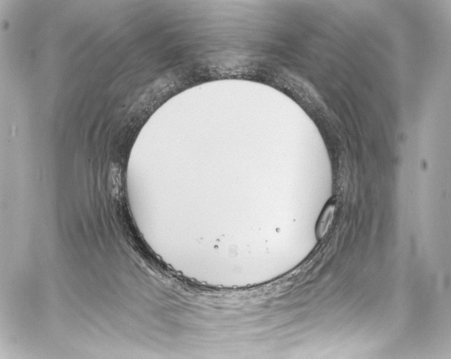 X0000057070025200510071444