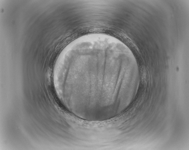 X0000057070026200510071444