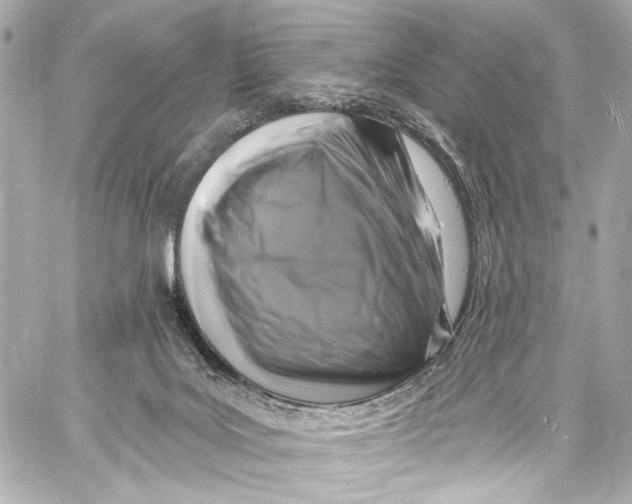 X0000057070027200510071444