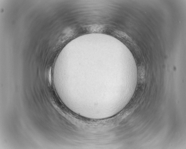 X0000057070028200510071444