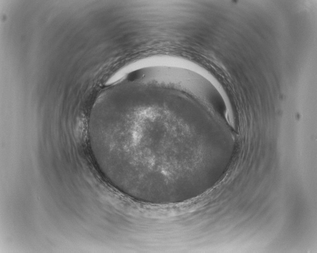 X0000057070029200510071444