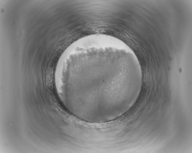 X0000057070030200510071444