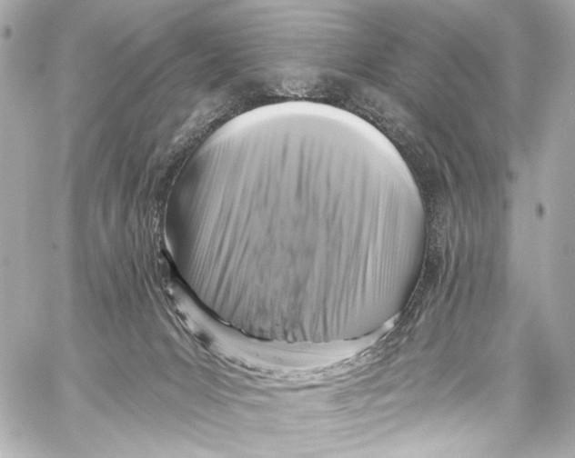 X0000057070031200510071444