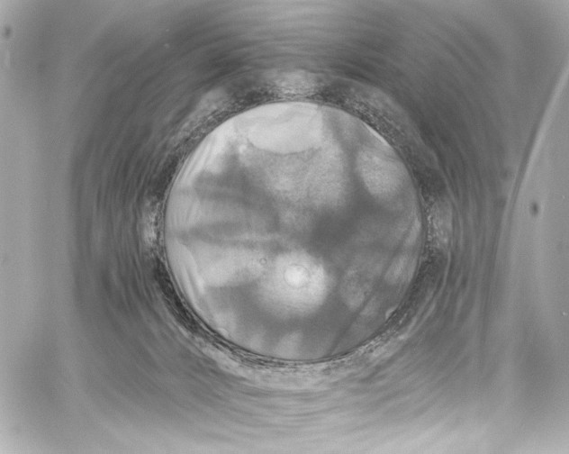 X0000057070032200510071444