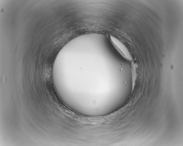 X0000057070033200510071444