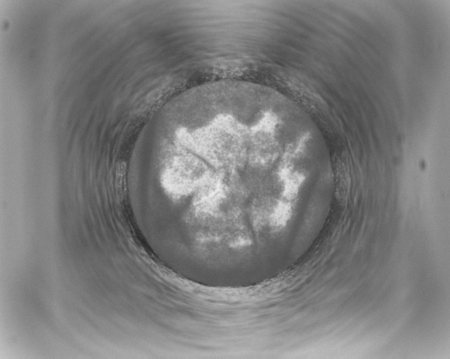 X0000057070034200510071444