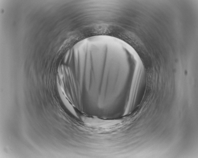 X0000057070035200510071444