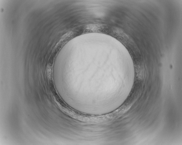 X0000057070036200510071444