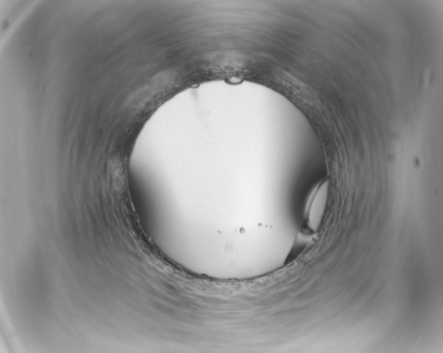 X0000057070037200510071444