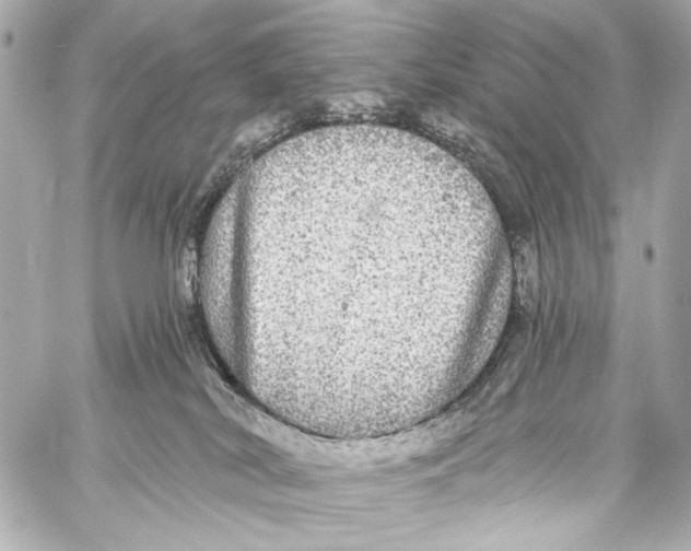 X0000057070038200510071444