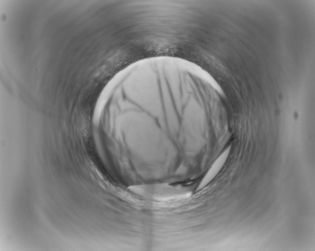 X0000057070039200510071444