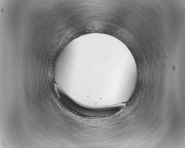 X0000057070040200510071444