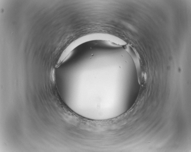 X0000057070041200510071444