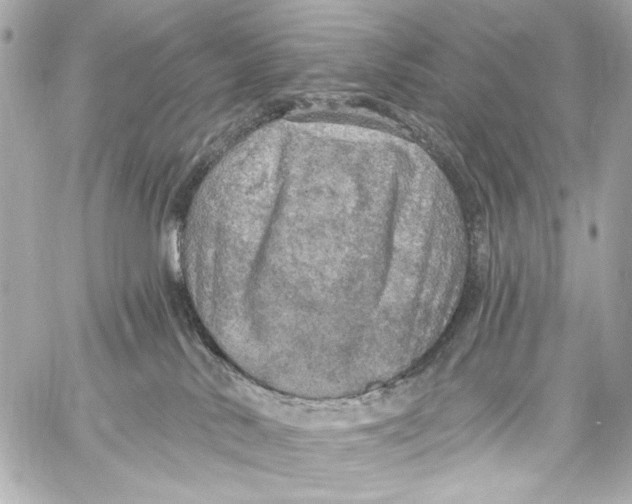 X0000057070042200510071444