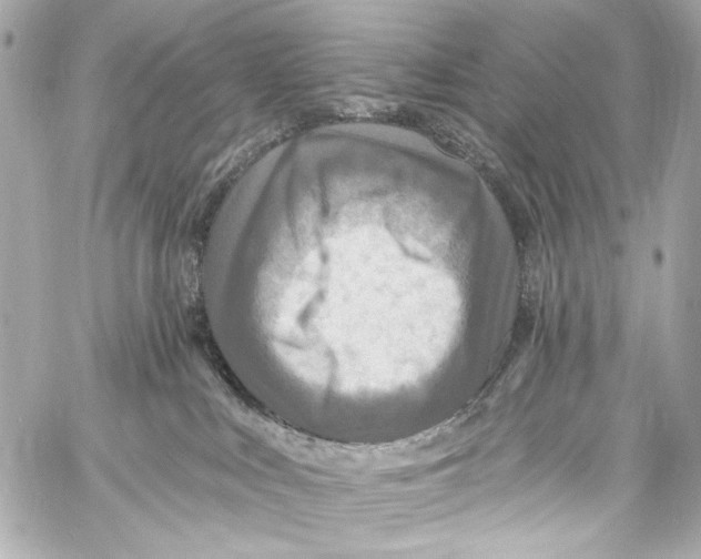 X0000057070043200510071444