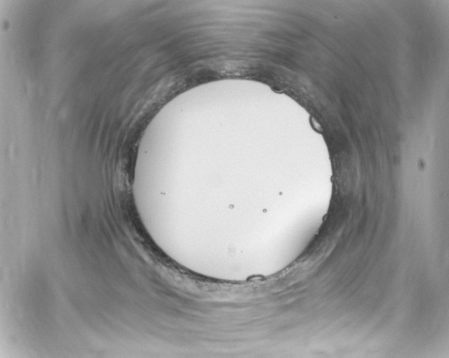 X0000057070044200510071444