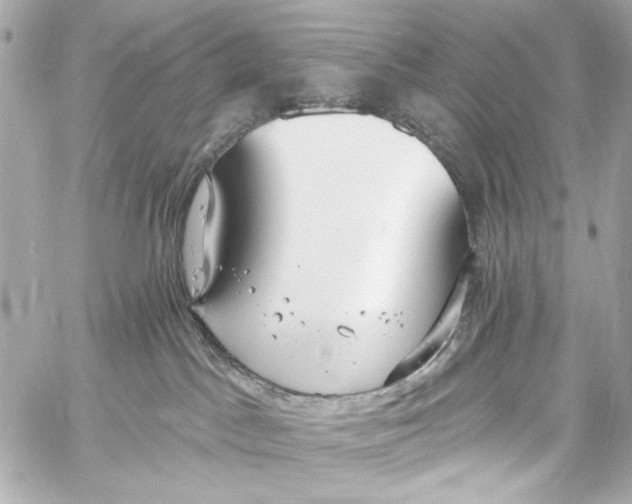 X0000057070045200510071444