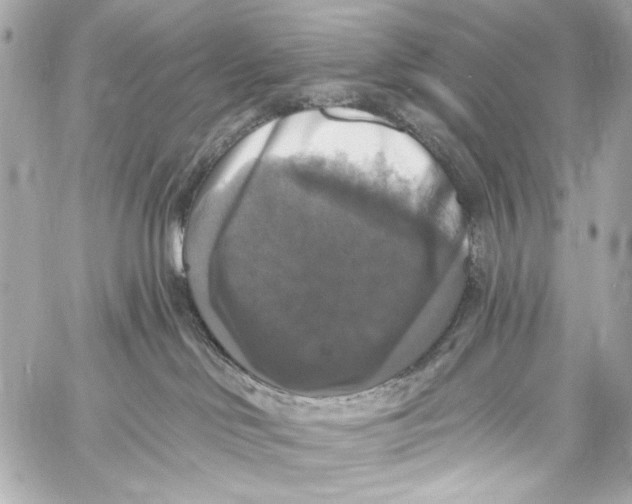 X0000057070046200510071444