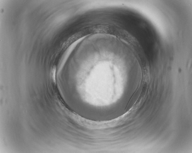 X0000057070047200510071444