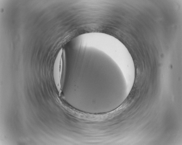 X0000057070048200510071444