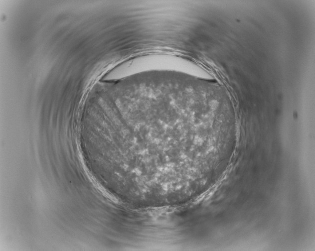 X0000057070049200510071443