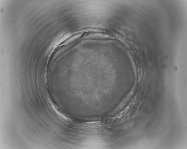 X0000057070050200510071443