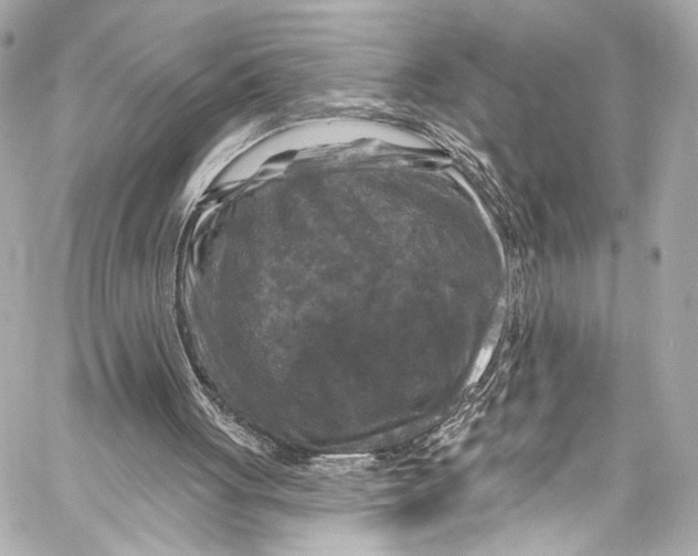 X0000057070051200510071443