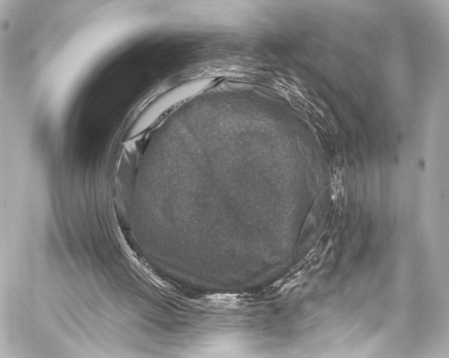 X0000057070052200510071443