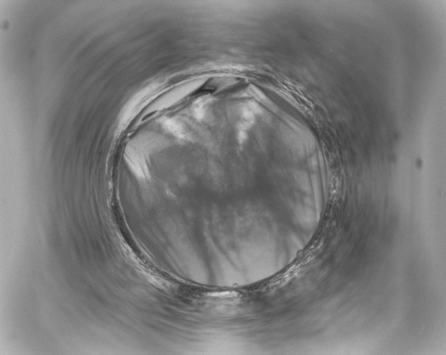 X0000057070053200510071443