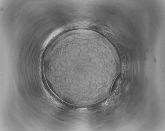 X0000057070054200510071443